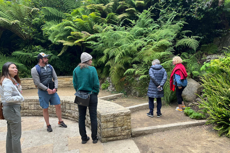 O lado selvagem de San Francisco, Ecotour com meteorologista