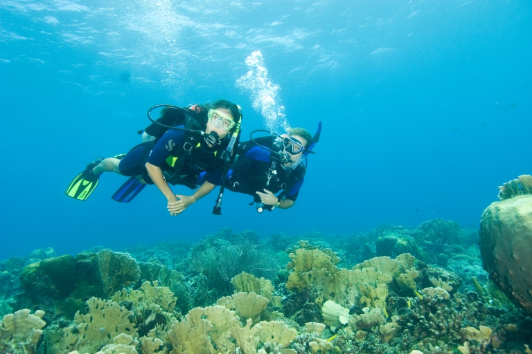 Diving Santa Marta & Tayrona for Certified Divers (2 tanks)