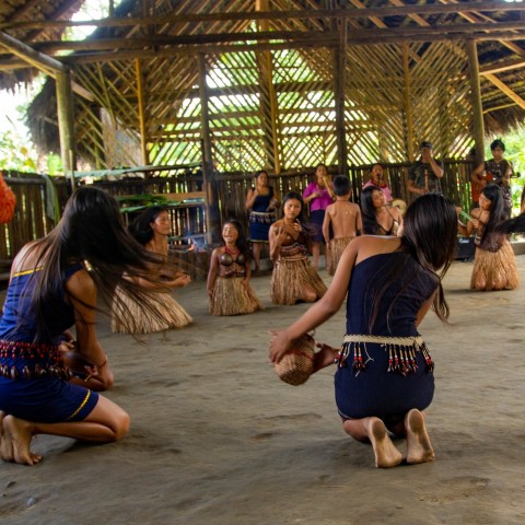 Visit 2 Full Days Exploring The Ecuadorian Amazon / From Tena in Misahualli