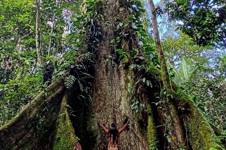 2 jours complets d'exploration de l'Amazonie équatorienne / Depuis Tena2 jours complets d'exploration de l'Amazonie équatorienne