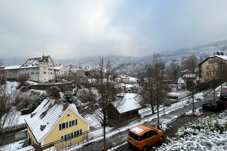 Surprise tour of Bregenz guided by a Local 90 min - Walking Tour