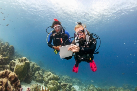 P.A.D.I. Open Water Diver Certification