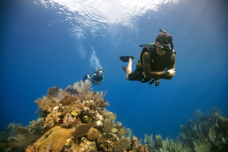 PADI Open Water Diver-certificering