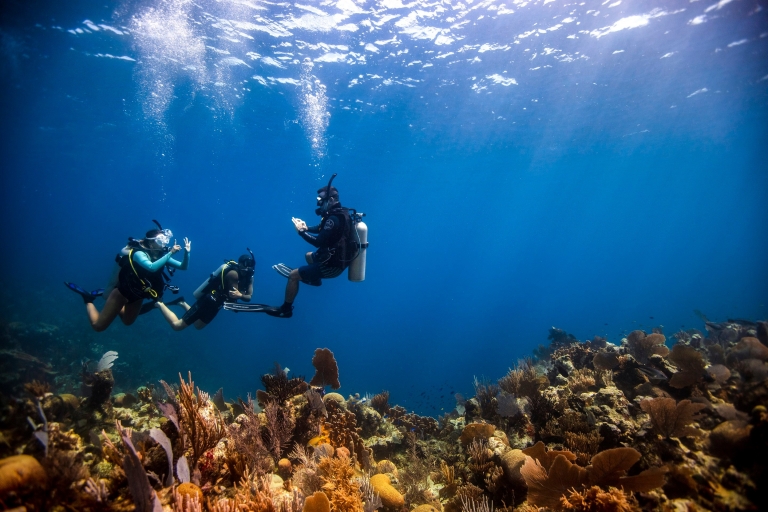 P.A.D.I. Open Water Diver Certification