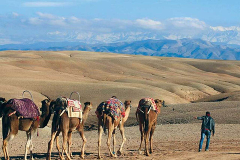 Agafay Desert: Buggy, Camel Ride & Dinner Spectacle