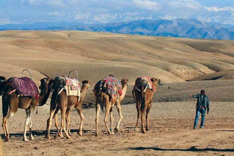 Agafay Desert: Buggy, Camel Ride & Dinner Spectacle