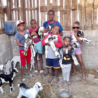 Island Tour & Cattle & Taste Local Skavors - Housity