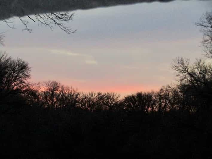 Waco Brazos River Boating Adventure GetYourGuide