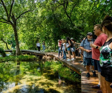 From Split: Krka Waterfalls Cruise & Trogir Walking Tour