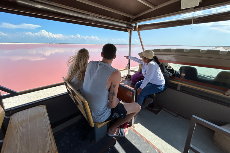 Safari tour around the pink lakes of Las Coloradas