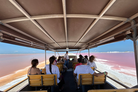 Safaritocht rond de roze meren van Las Coloradas