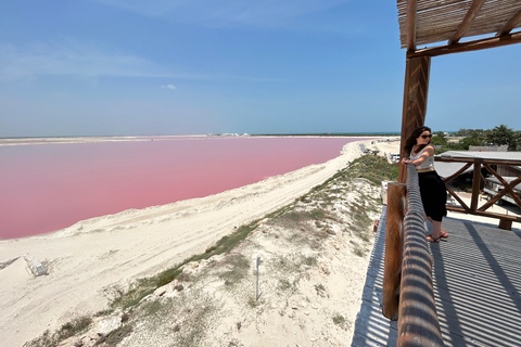 Safari tour around the pink lakes of Las Coloradas