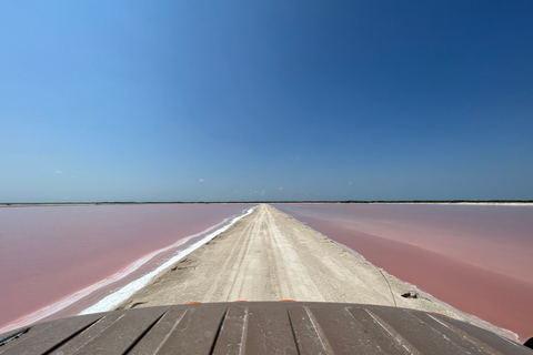 Safaritocht rond de roze meren van Las Coloradas