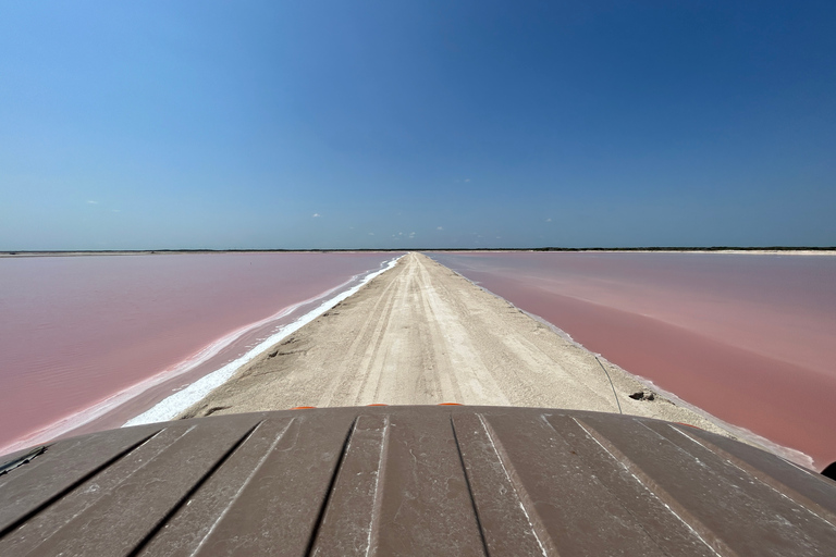 Safaritocht rond de roze meren van Las Coloradas