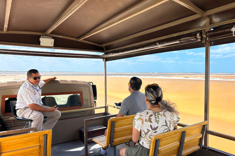 Safari tour around the pink lakes of Las Coloradas