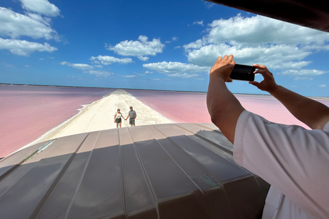 Safari tour around the pink lakes of Las Coloradas