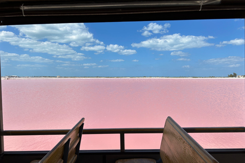 Safari tour around the pink lakes of Las Coloradas