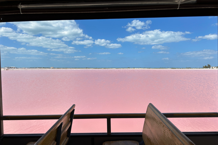 Safari tour around the pink lakes of Las Coloradas