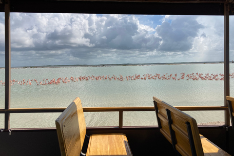 Safari tour around the pink lakes of Las Coloradas