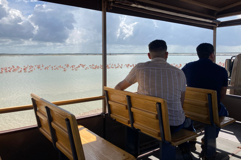 Las Coloradas: Pink Lakes Safari Tour