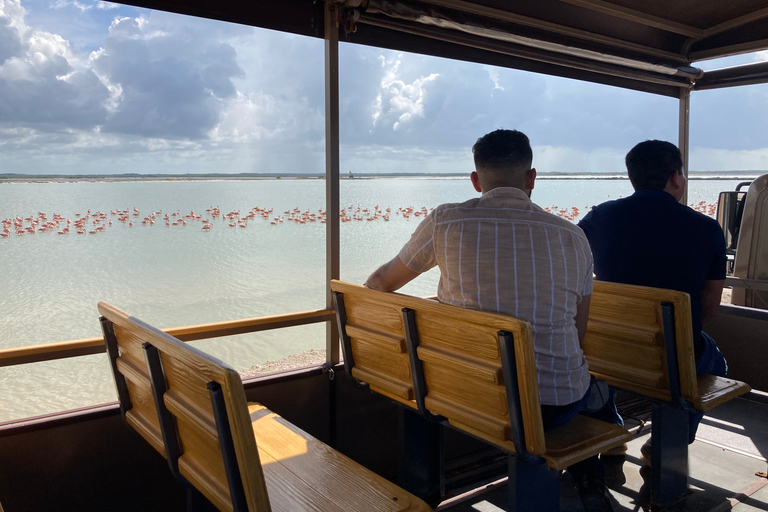 Las Coloradas: Pink Lakes Safari Tour