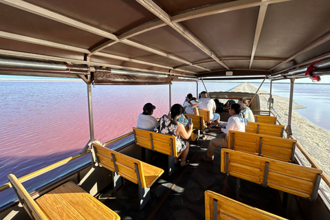 Safari tour around the pink lakes of Las Coloradas