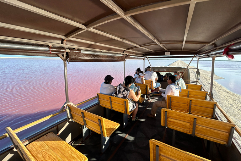 Safari tour around the pink lakes of Las Coloradas