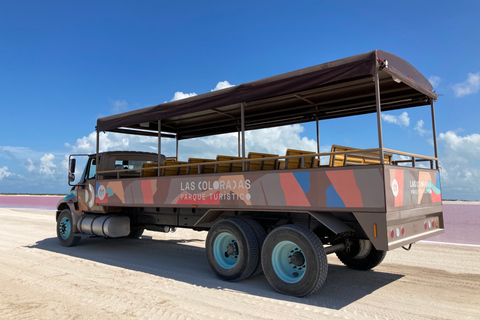 Safari tour around the pink lakes of Las Coloradas