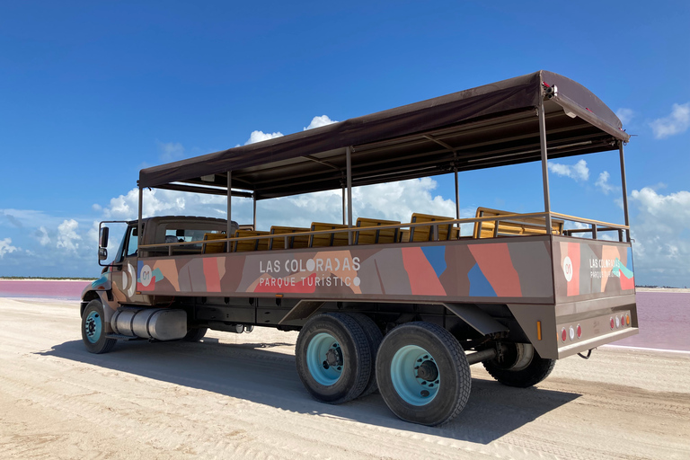 Las Coloradas: Pink Lakes Safari Tour