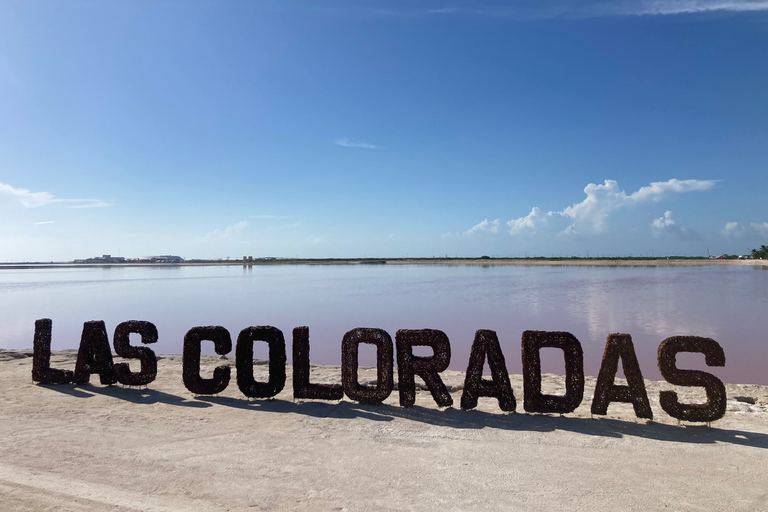 Safari tour around the pink lakes of Las Coloradas