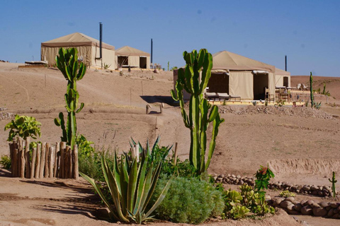 Marrakech: pranzo magico nel deserto di Agafay con piscina