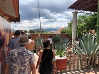 Da Oaxaca, momenti salienti naturali e culturali Guided Tour - Housity