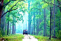 Gujarat, Jeep Safari guiado por el Parque Nacional GIR - Housity
