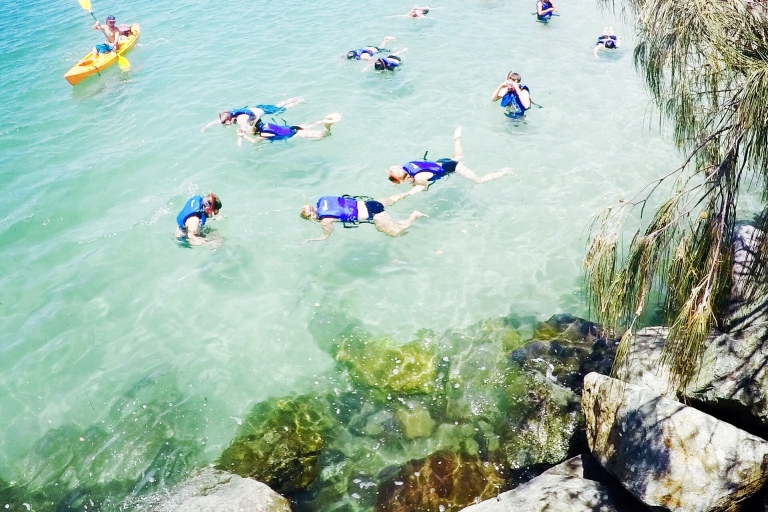 Desde la Costa Dorada: Excursión en kayak con delfines y snorkelExcursión en kayak y snorkel por la Costa Dorada