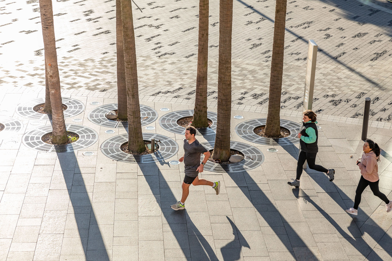 Wycieczka biegowa po zabytkach portuHarbour Sights Running Tour