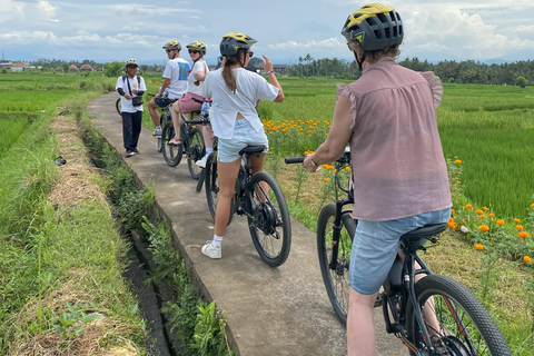 Ubud: Downhill-cykeltur med risfält, vulkan och måltidPrivat grupp