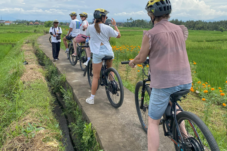 Ubud: Downhill-cykeltur med risfält, vulkan och måltidPrivat grupp