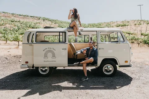 Los Angeles: Privat rundtur med vintage VW-buss i Malibu