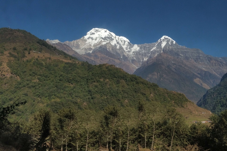 Annapurna Base Camp Trek in Nepal-2023/2024
