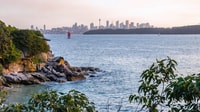 Sydney, visite à pied de Watsons Bay avec déjeuner et café - Hizvo