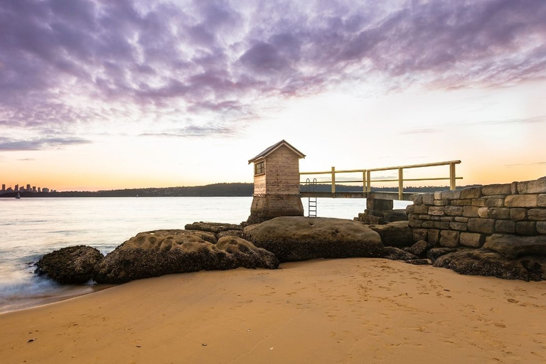 Sydney: Excursão a pé por Watsons BaySydney: Passeio a pé por Watsons Bay com almoço e café
