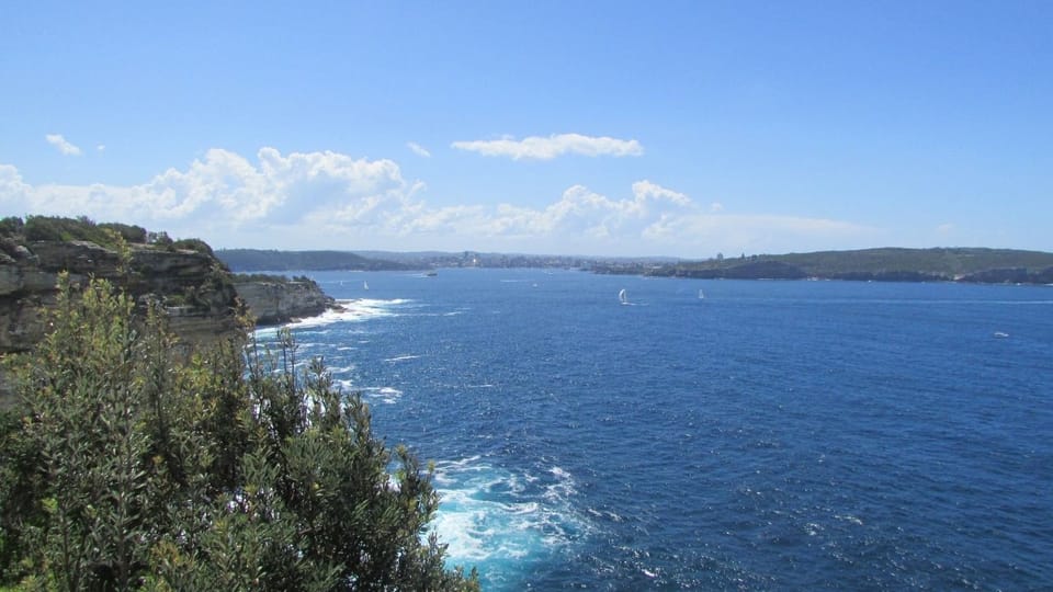 Sydney, Watsons Bay Walking Tour con pranzo e caffè - Hizvo