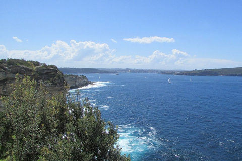 Sydney: Excursão a pé por Watsons BaySydney: Passeio a pé por Watsons Bay com almoço e café