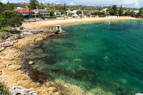 Sydney: Excursão a pé por Watsons BaySydney: Passeio a pé por Watsons Bay com almoço e café