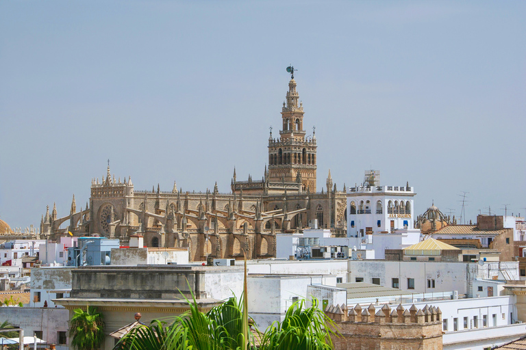 Seville Cathedral & Giralda Private Tour including tickets