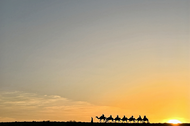 Agafay Desert Highlights: Quad, Camel & Dinner