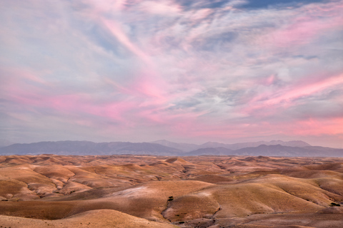 Agafay Desert Highlights: Quad, Camel & Dinner