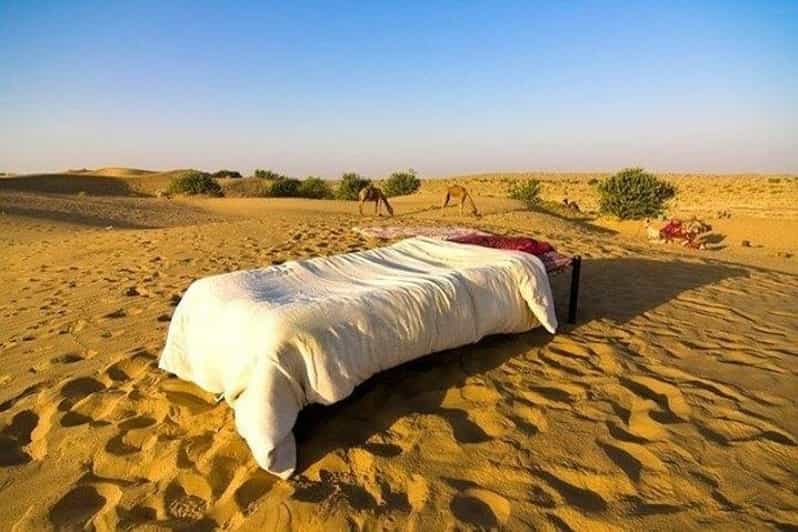 From Jaisalmer : Overnight Stay Under Stars WithCamel Safari