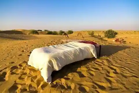 From Jaisalmer: Private Trip Under Stars with Camel Safari