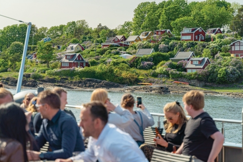 Oslo : croisière en bateau électrique hybride avec brunch